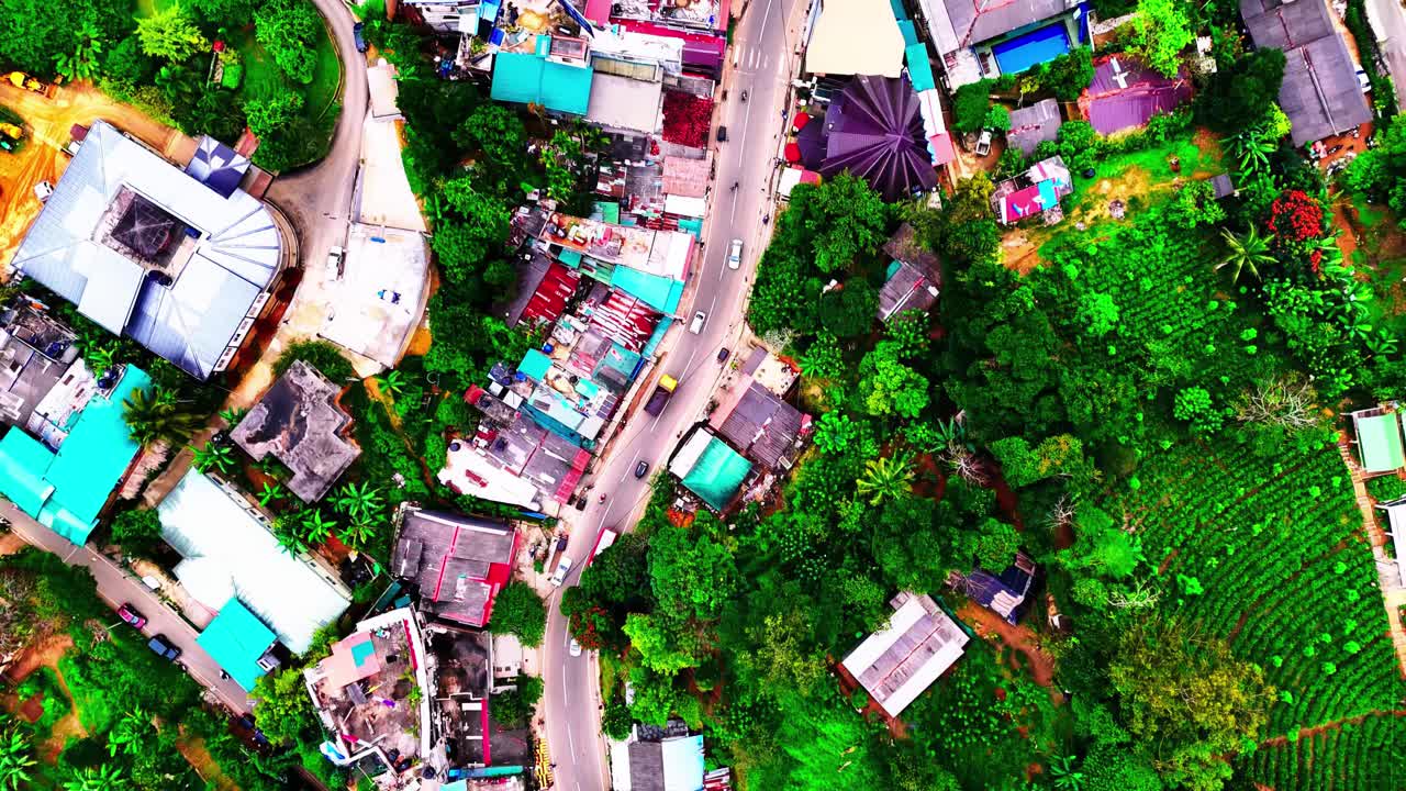 A vibrant Sri Lankan village with colorful homes, winding roads, tropical trees, and lush surrounding vegetation, blending rural life and natural landscape.