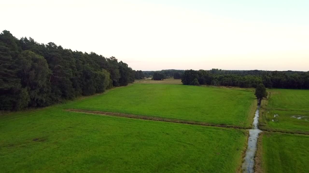 impresionante vuelo aéreo volar hacia adelante drone disparado sobre tierras ecológicas de agricultores orgánicos en la reserva natural parque visto müritz mecklenburg brandenburg alemania vista aérea