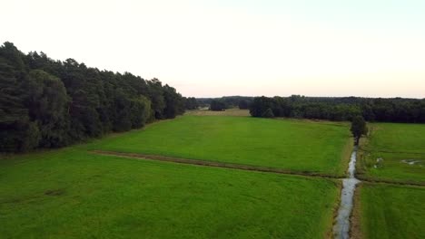 Stunning-aerial-flight-fly-forwards-drone-shot-over-ecological-organic-farmer-land
in-nature-reserve-Müritz-Seen-Park-Mecklenburg-Brandenburg-Germany-Aerial-view