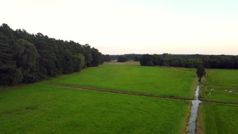 Impresionante-Vuelo-Aéreo-Volar-Hacia-Adelante-Drone-Disparó-Sobre-Tierras-De-Agricultores-Orgánicos-Ecológicos-En-La-Reserva-Natural-Müritz-Visto-Parque-Mecklenburg-Brandenburg-Alemania-Vista-Aérea