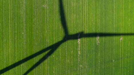 shadow of a wind turbine