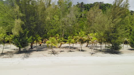 toma aérea de una playa vacía de una isla tropical con palmeras
