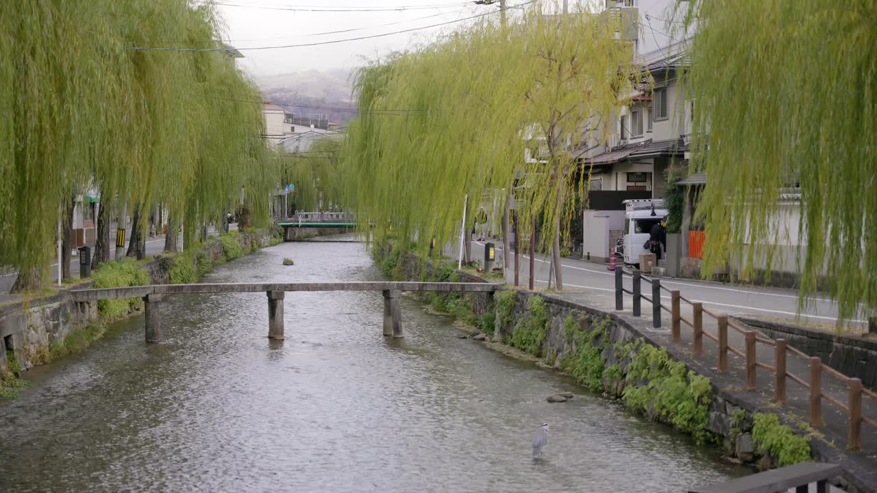 The quaint, thin stone Gyoja-bashi Bridge over the Shirakawa River in Kyoto, Japan. Green willow trees are lining the river banks Snow-capped mountains in the background. Winter