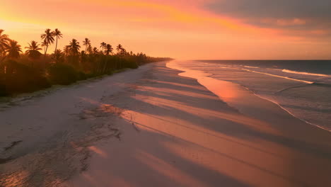 idyllic tropical beach at sunset with palm trees