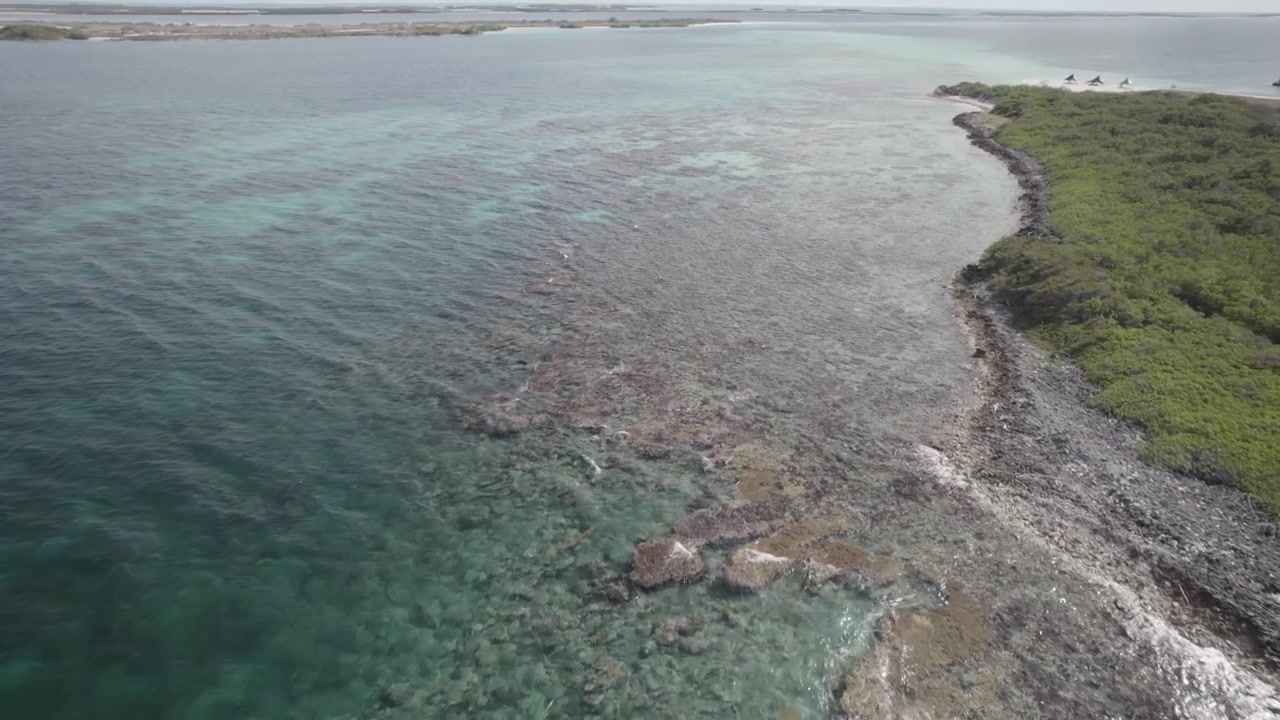Autentico filmato drone che sorvola una barriera corallina poco profonda in acque incontaminate. L'oceano turchese cristallino rivela intricate formazioni coralline e texture marine sotto la superficie. Colori naturali.