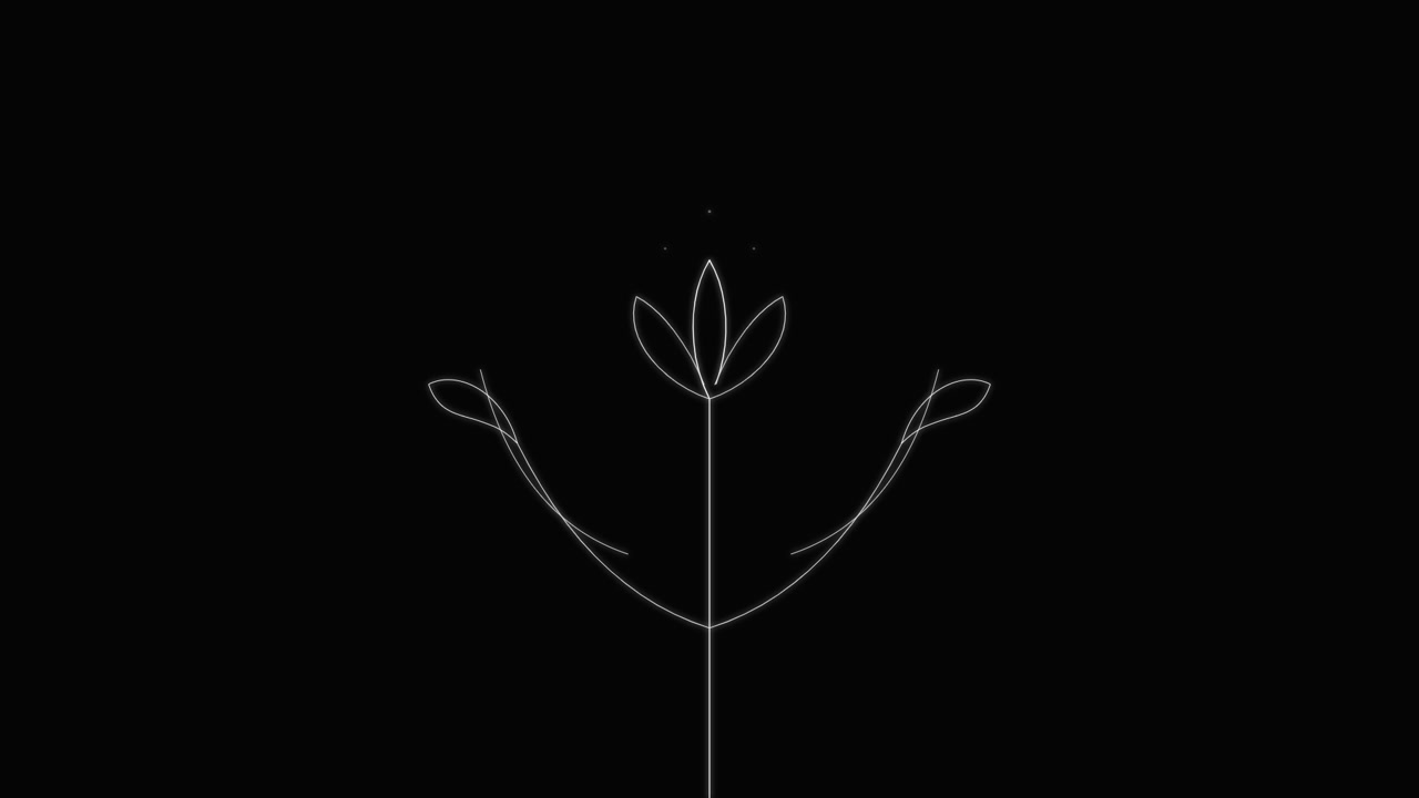 Minimalist Line Art Animation of a Growing Flower