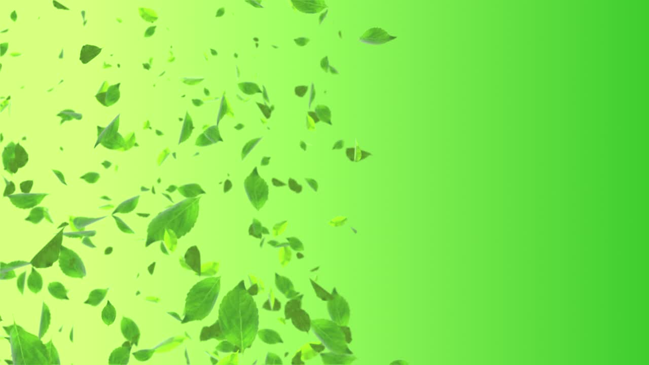 Sunny nature background with natural green leaves sunlights loop 4k motion graphic animation