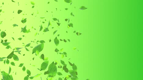 sunny nature background with natural green leaves sunlights loop 4k motion graphic animation