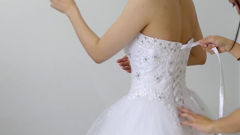 wide-shot-of--bride---bridemaid-wedding-dress