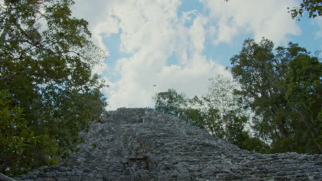 mayan ruins in the jungle