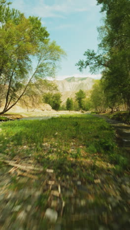 el río de montaña rápido y poco profundo atraviesa el bosque. corriente de agua áspera con lecho rocoso en el bosque de primavera verde fpv drone. arroyo estrecho salpicaduras en la luz del sol