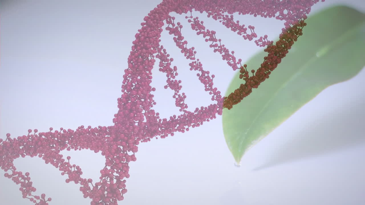 Intertwining DNA strand with green leaf, symbolizing nature and science connection