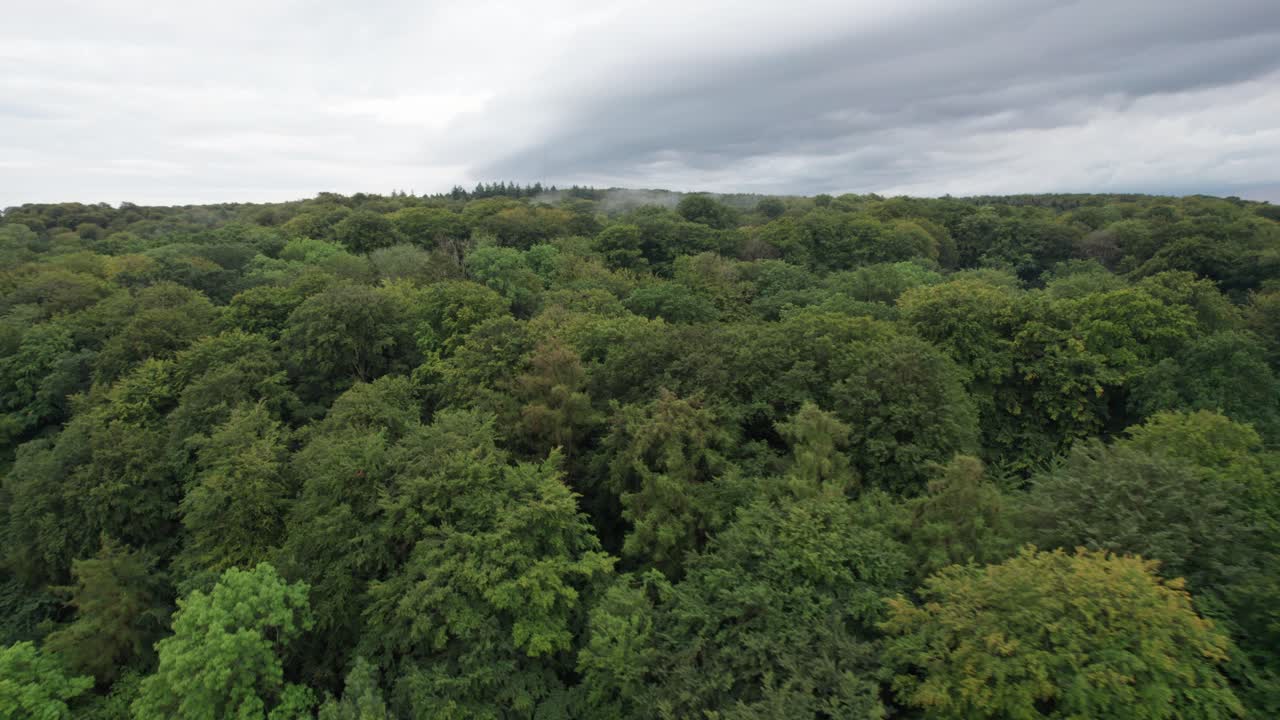 hermosa vista aérea de la costa y el bosque cerca del palacio de marselisborg en aarhus, dinamarca