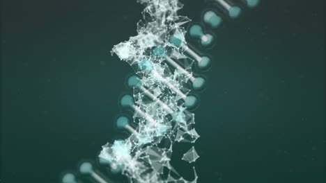 animation of dna strand with geometric shapes on dark green background