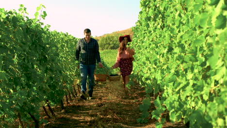 Pareja-Caucásica-Con-Cestas-De-Uvas-Caminando-En-Viñedo