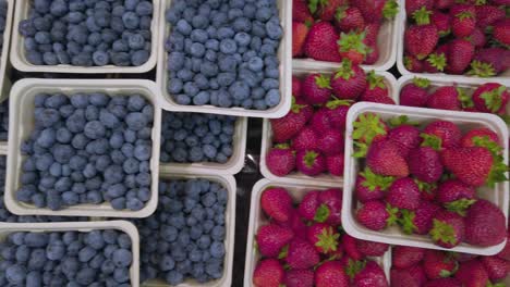 panning topdown view of the fresh blueberry and strawberry on the shelf in supermarket- fresh fruits on the stall in canada