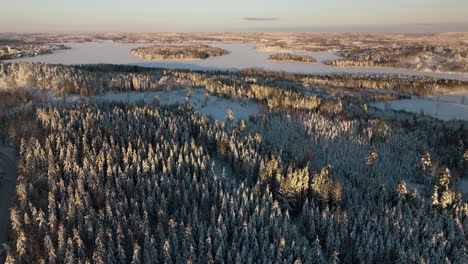 Trees-and-lake-in-sunset-in-winter-landscape-in-Nora,-Sweden