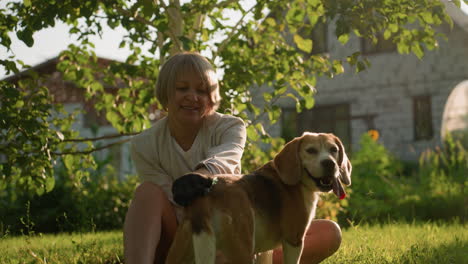 dog owner seated on grassy field rubbing dog's back affectionately down to its tail while smiling under sunlight, with greenery and building blurred in background