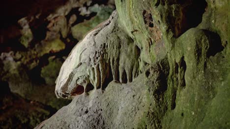 inside prehistoric cave detailed mud