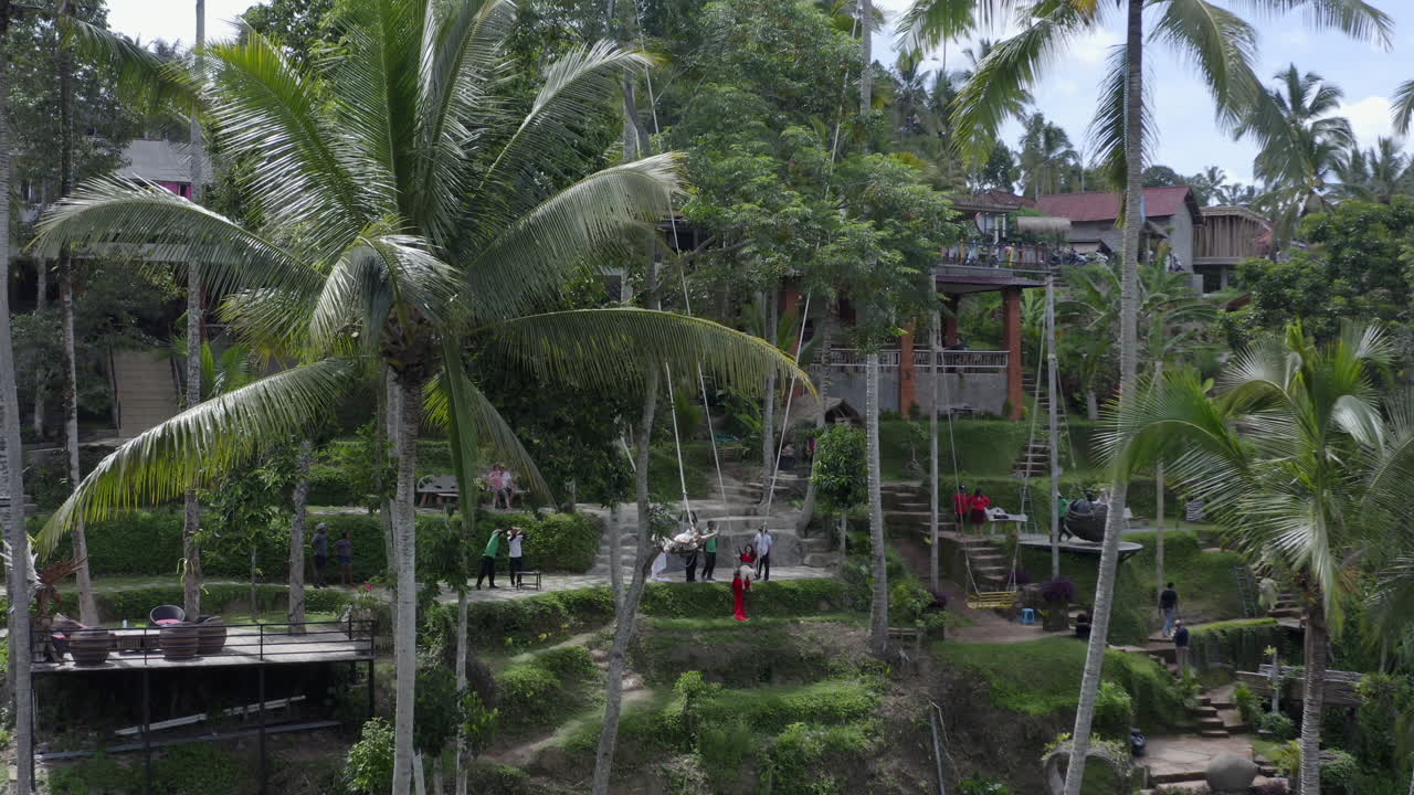 Tourists riding long swings attached to palm trees at  rice terrace scenic spot on a sunny day. Tegallalang, Bali, Indonesia. Aerial shot.
