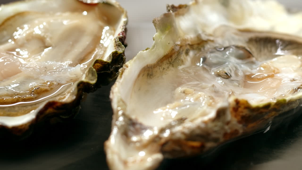 Fresh Oysters
