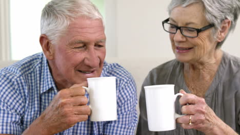 Happy-senior-couple-toasting-together