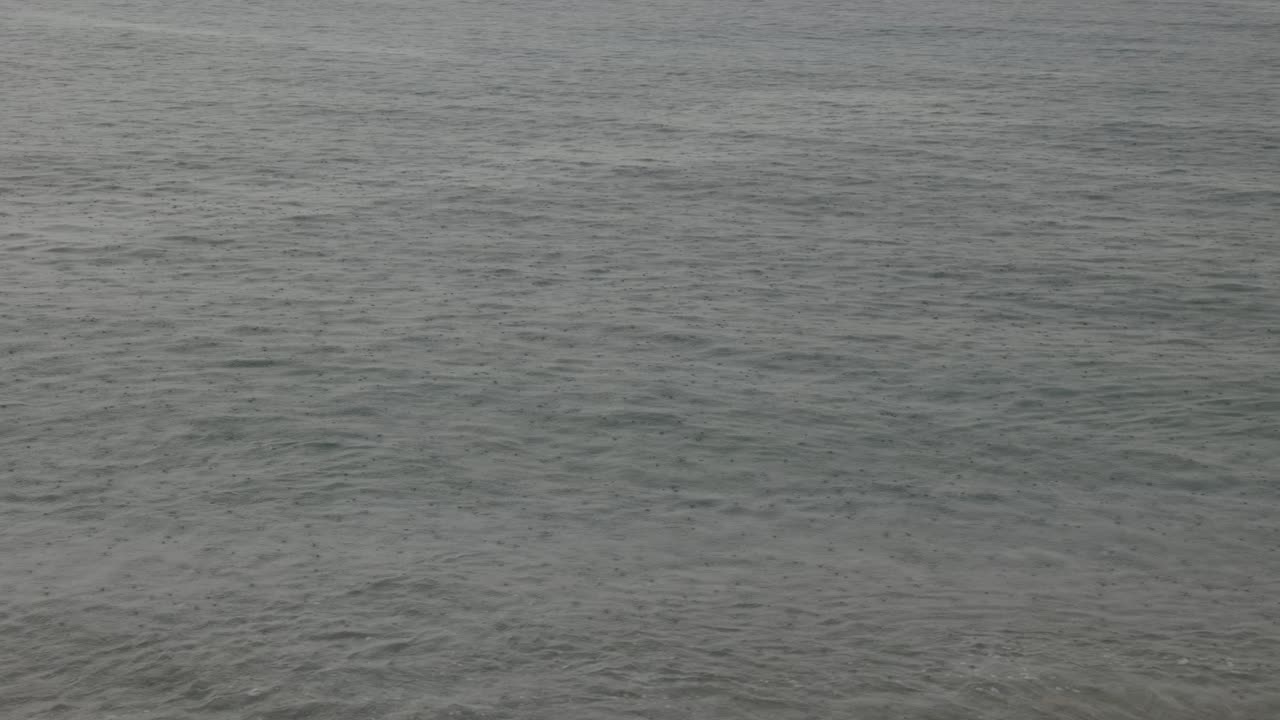 비가 오는 바다 해변 해안선 파도