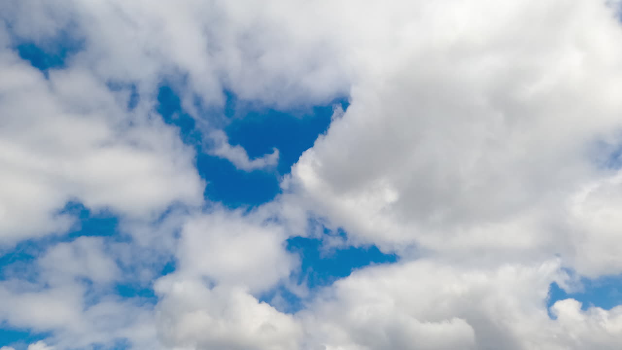 White cumulus cloudscape accumulating in the blue skies. Beautiful summer sky from low angle view. Timelapse.
