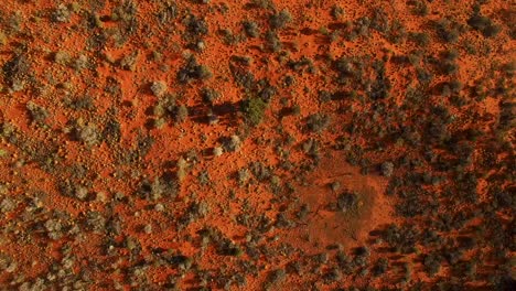 Slow-moving-aerial-across-a-beautiful-patterned-Australian-outback-landscape,-birds-eye-view