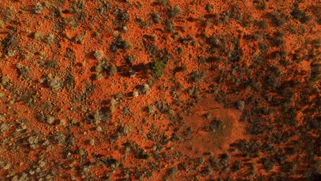 antena en movimiento lento a través de un hermoso paisaje interior australiano estampado, vista de pájaro