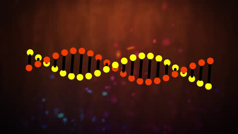 animación de manchas que se mueven sobre la cadena de adn