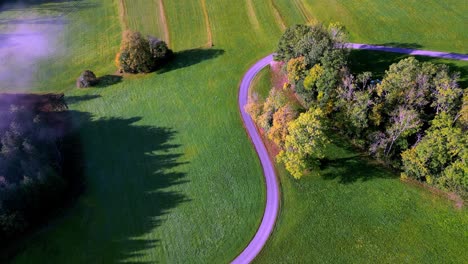 Aerial-view-of-a-winding-one-lane-asphalt-road-cutting-through-a-patchwork-of-green,-brown,-and-yellow-fields