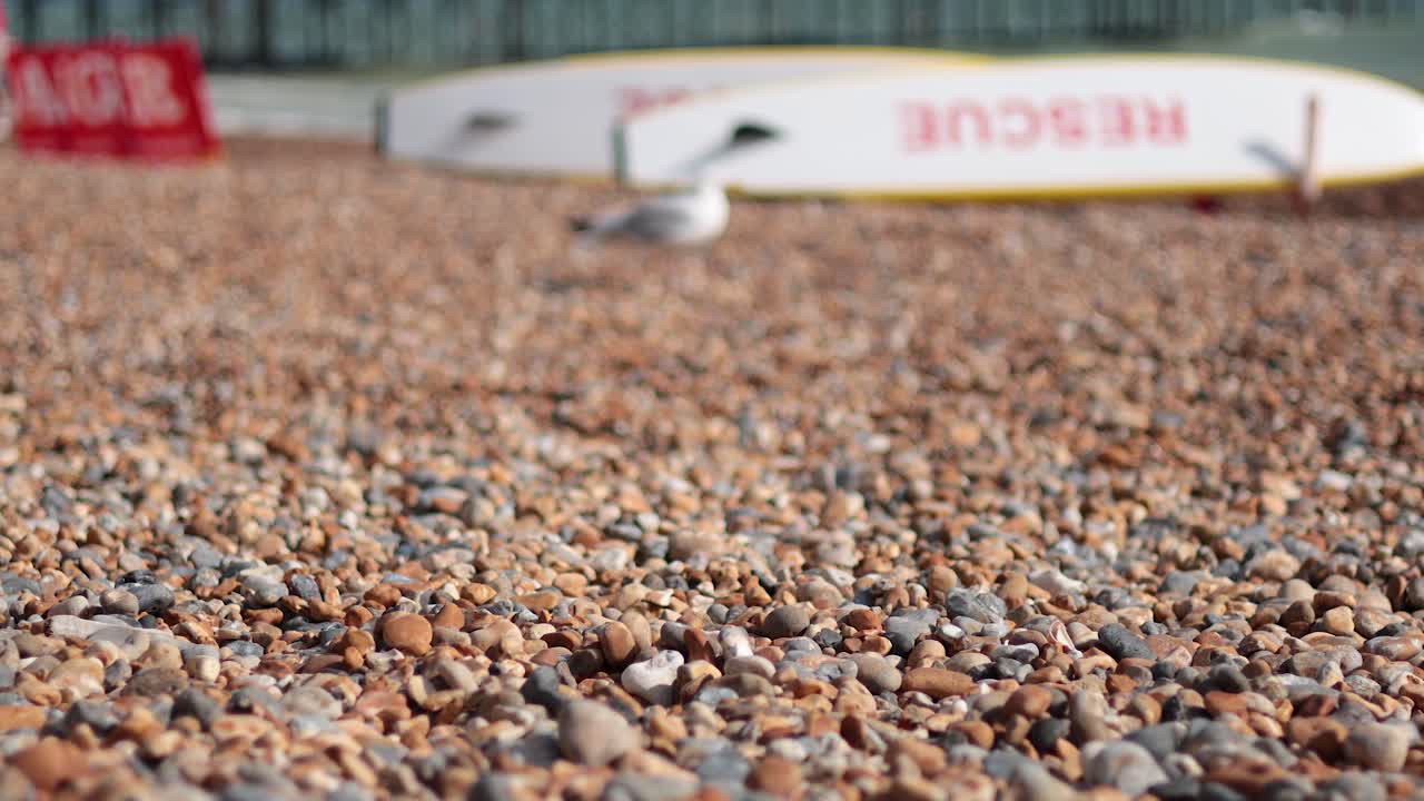 구조 보트 근처 의 자갈 모래 해변 에서 고 있는 해파리