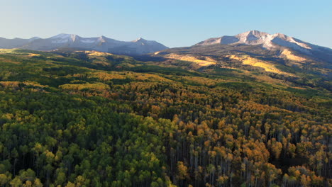 stunning bright bluebird first light sunny morning autumn aspen tree forest fall golden yellow colors kebler pass aerial cinematic drone crested butte gunnison colorado rocky mountains upward