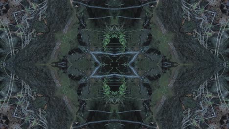 greenery kaleidoscope using forest imagery from wissahickon creek, philadelphia, #13