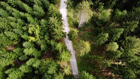 Aerial-hiking-trail-leading-through-forest-tree-grassy-green-mountain-slope-in-Alps,-Innsbruck-Austria