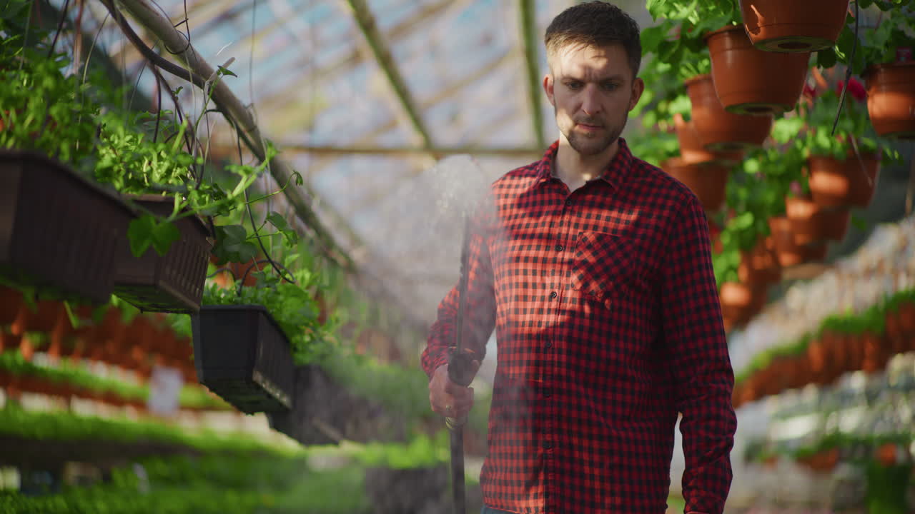 Farmer Watering Seedlings in a Greenhouse