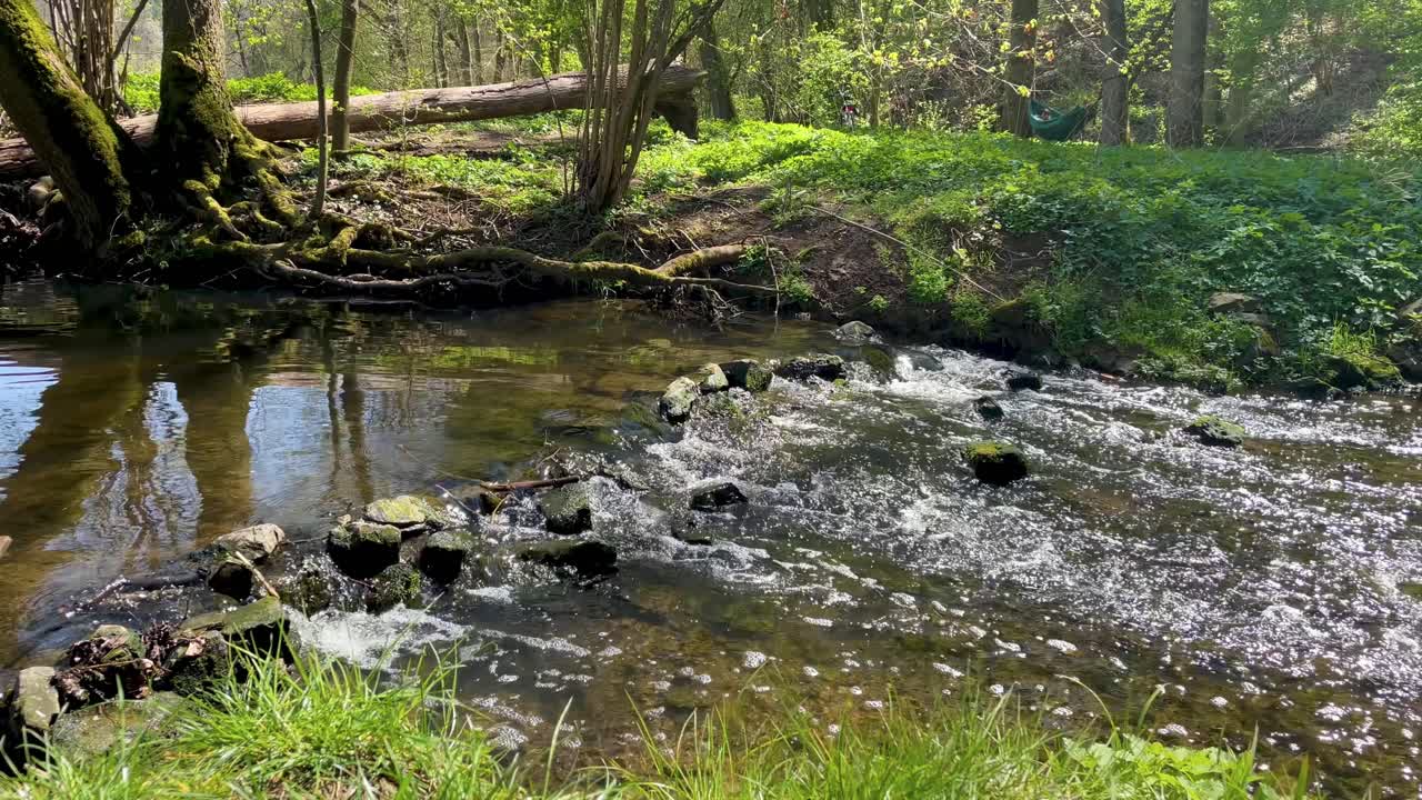 el arroyo fluye continuamente a través de un impresionante parque en un día soleado de verano