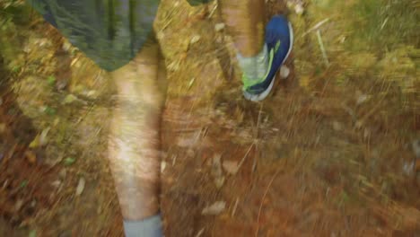 man jogging in a forest