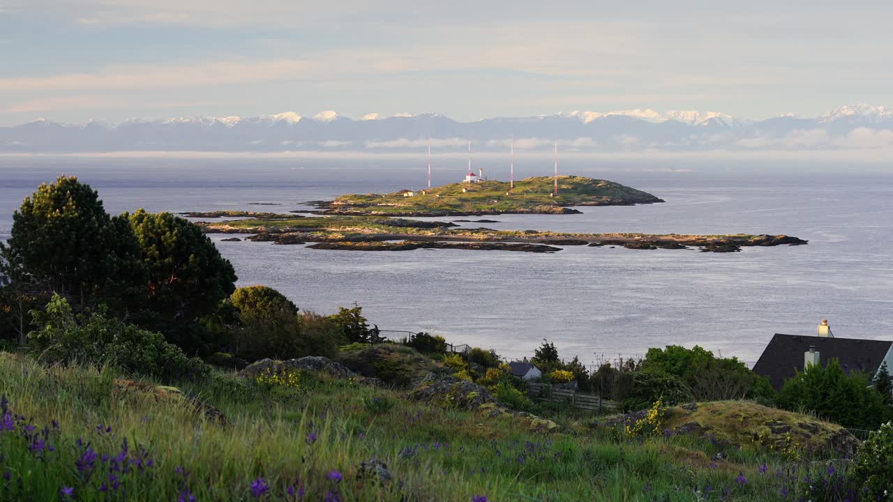 Scenic coastal view with a lighthouse on a distant island, surrounded by calm waters. Foreground features lush greenery and wildflowers, with mountains in the background