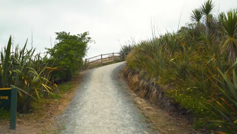 paseo marítimo costero en nueva zelanda