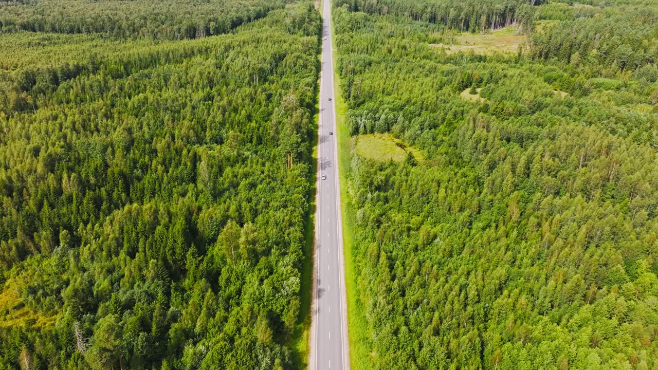Forward drone motion, straight forest highway under clear bright sunny light