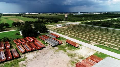 Naranjales-En-La-Ciudad-De-Haines,-Florida