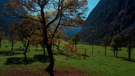 Colorful-and-vibrant-maple-trees-at-Ahornboden-in-Tyrol,-Austria-with-red-and-yellow-fall-leaves-in-sunny-autumn-in-the-alps-mountains-with-a-forest-at-Rissach-Engtal-tourist-travel-spot