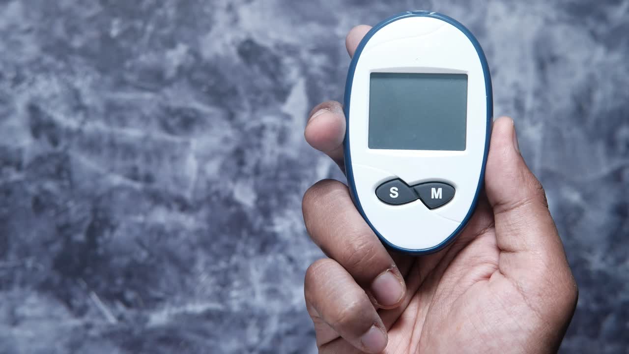 휴대용 혈당 측정기