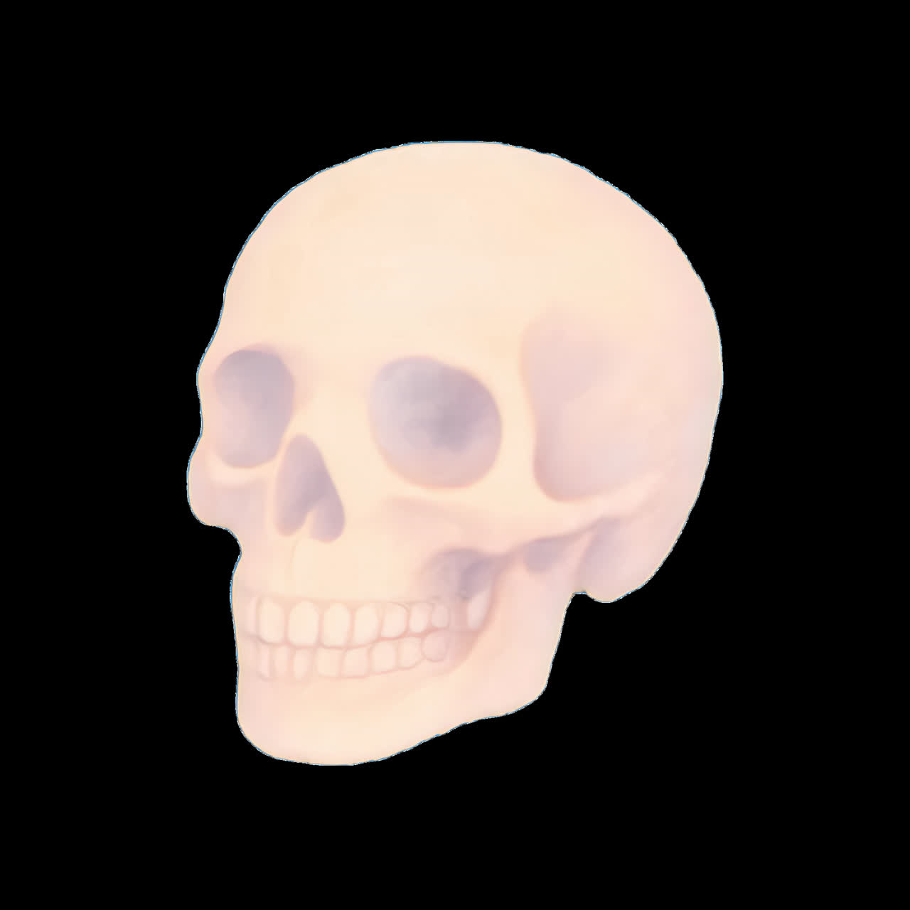 Human skull animation isolated asset, transparent 4K video, alpha channel, ProRes 4444