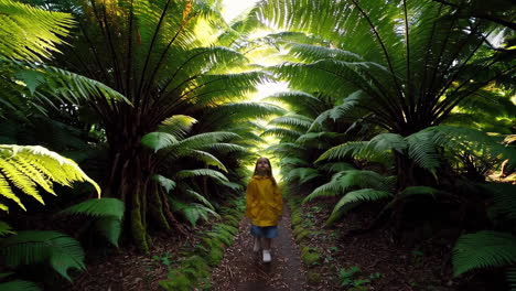 a young girl in a yellow raincoat walking through a lush fern forest