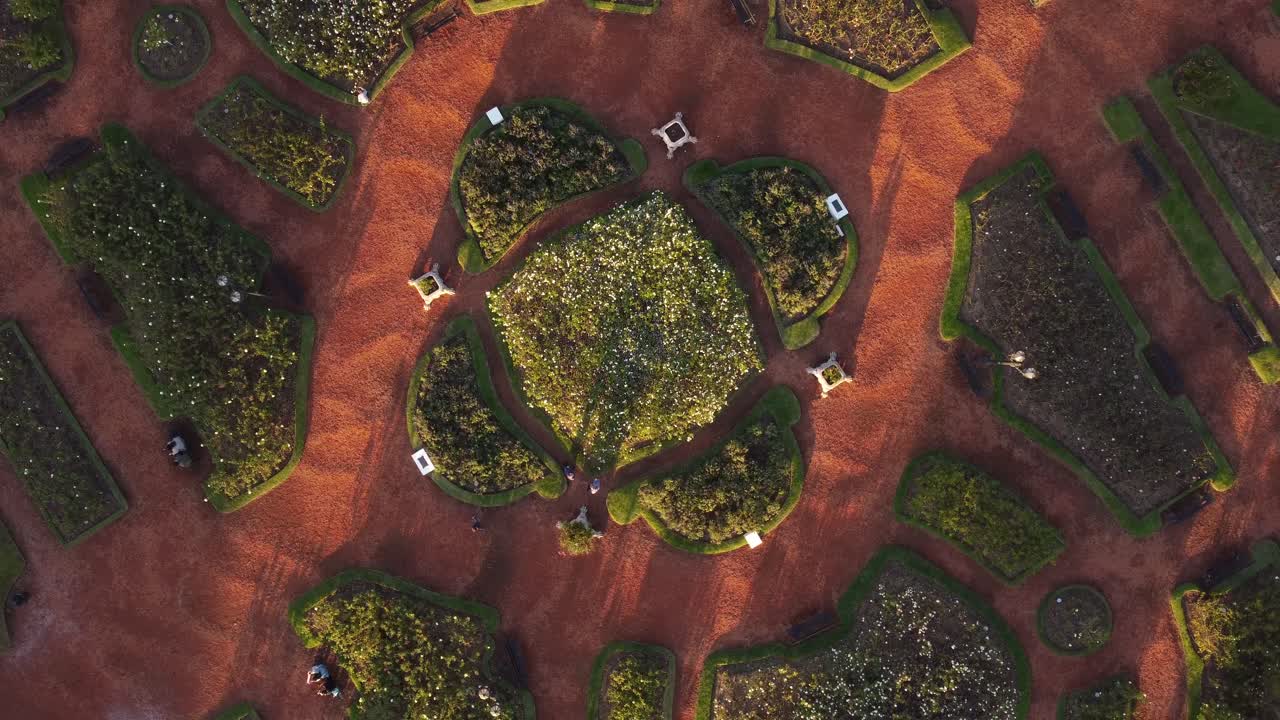 vuelo de drones en ascenso sobre el rosedal en palermo en buenos aires este jardín de rosas es muy hermoso en cualquier época del año pero es hermoso en primavera y verano con cientos de rosas