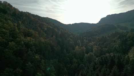 Drone-flight-over-a-forest-in-switzerland-in