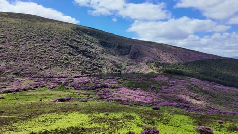 irlanda lugares épicos vista de la montaña colores de verano y rododendros en flor paisaje en el vee waterford